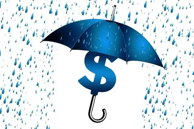 Blue umbrella with dollar sign handle shielding against rain, symbolizing financial protection and security.